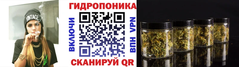 Бошки Шишки сатива  Купить  Николаевск 